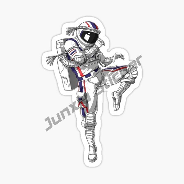 Muay Thai Autostickers Zonnebr - Car Accessories Thailand recensie en prijs